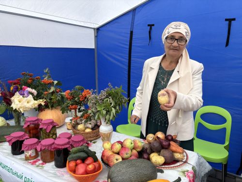 Седьмая ярмарка мёда собрала пчеловодов из разных регионов в Дрожжановском районе РТ