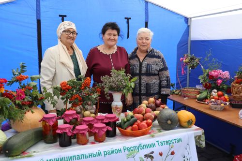 Седьмая ярмарка мёда собрала пчеловодов из разных регионов в Дрожжановском районе РТ