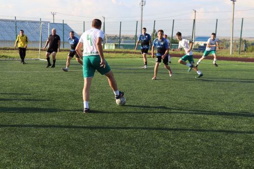 В Дрожжановском районе прошел турнир по мини-футболу в честь Дня физкультурника
