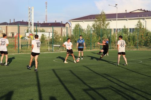 В Дрожжановском районе прошел турнир по мини-футболу в честь Дня физкультурника