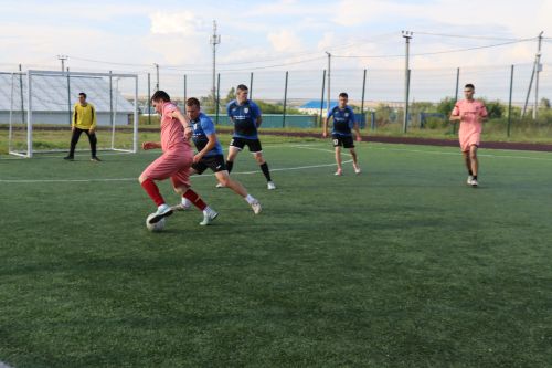 В Дрожжановском районе прошел турнир по мини-футболу в честь Дня физкультурника