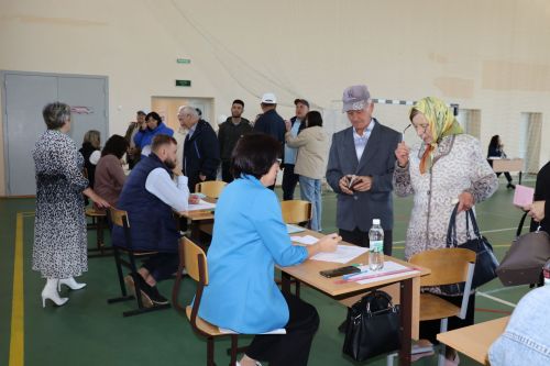 Выборы в Дрожжановском районе - 2025 год