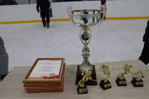 Турнир по хоккею памяти Фаниса Загреева -2026