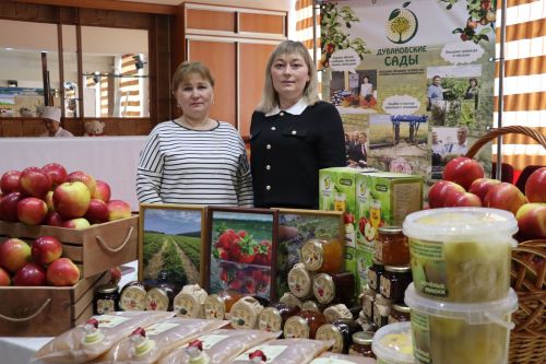 Седьмое заседание Совета Дрожжановского района пятого созыва-2025