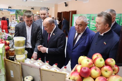 Седьмое заседание Совета Дрожжановского района пятого созыва-2025