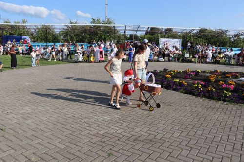 День семьи, любви и верности отметили в  Дрожжановском районе