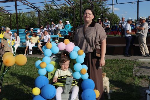 День семьи, любви и верности отметили в  Дрожжановском районе