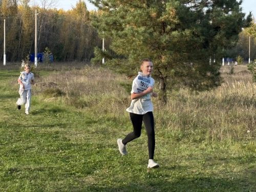 Кросс Татарстана-2026 в Дрожжановском районе