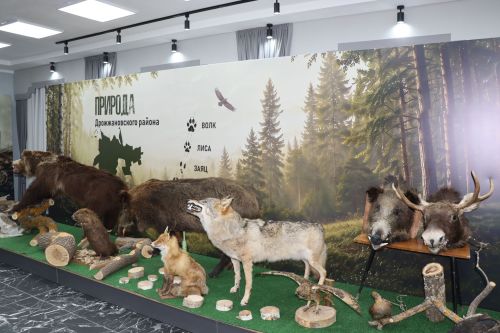 Открытие краеведческого музея в Дрожжановском районе -2026
