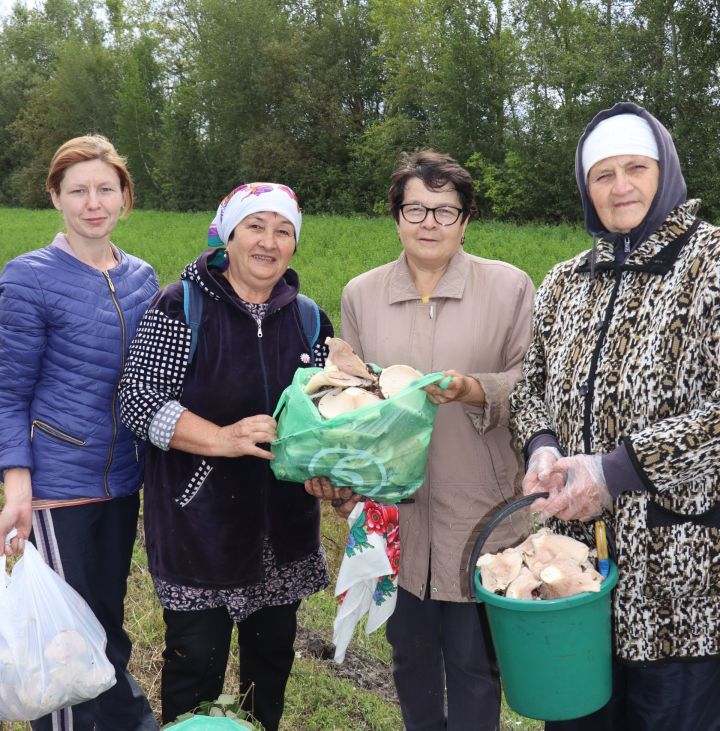 Кӑмпасен патшалӑхӗнче