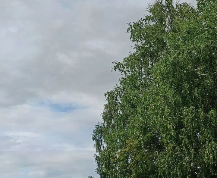 Сильный ветер ожидается в Дрожжаном днем 2 октября