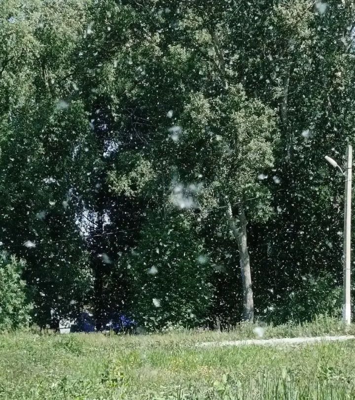 В Татарстане ожидаются грозы, град и шквалистый ветер