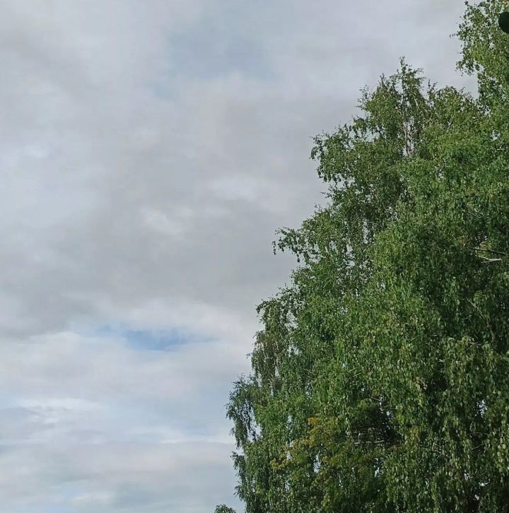 В Дрожжановском районе ожидаются дождь, гроза и ветер