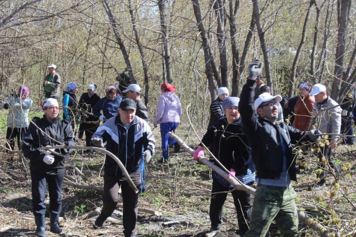 Дрожжановцы  убрались в овраге в центре района