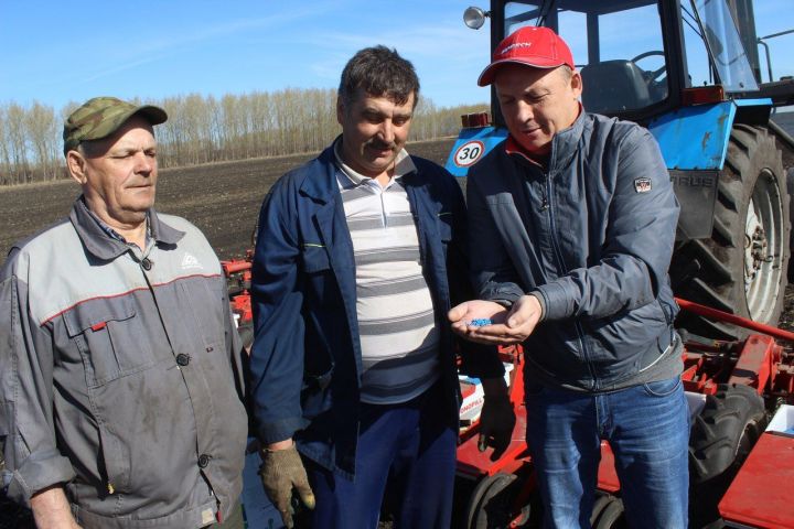 В Дрожжановском районе началась посевная кампания