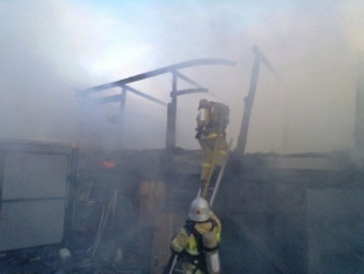 В селе Новое Дрожжаное пожар уничтожил надворные постройки