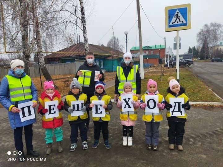 В Дрожжановском районе прошла операция «Пешеход»