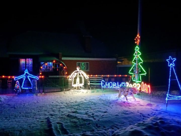 Андриан Артемьев из села Старое Ильмово создал возле своего дома новогоднюю красоту