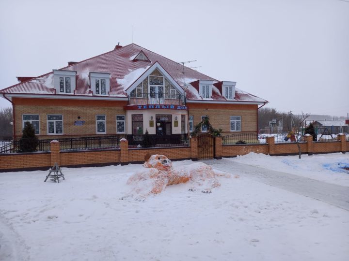 В рамках акции "Ёлка желаний" руководство ООО "СЭС-регион" порадовало приют "Теплый дом" Дрожжановского района