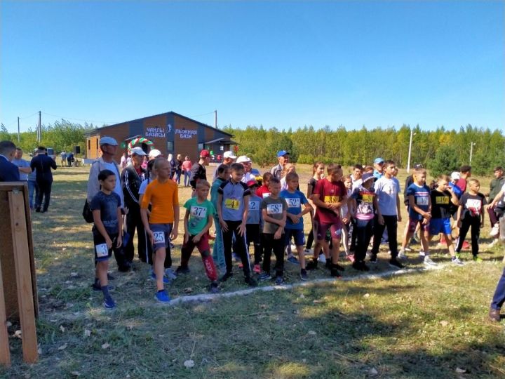 Ко Дню республики и образования Дрожжановского района прошли спортивные соревнования