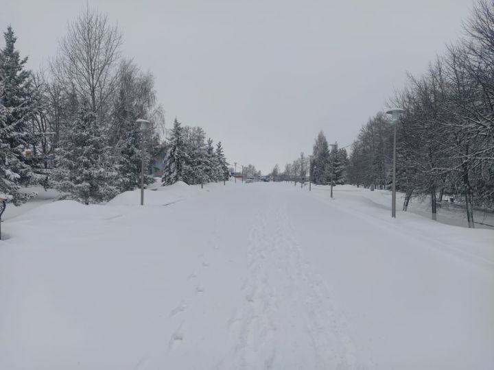 Первоапрельская шутка природы: Дрожжановский район замело снегом