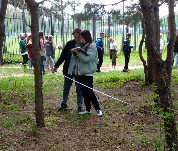 Учащиеся Стародрожжановского многопрофильного лицея обучаются в профильной смене по экологии