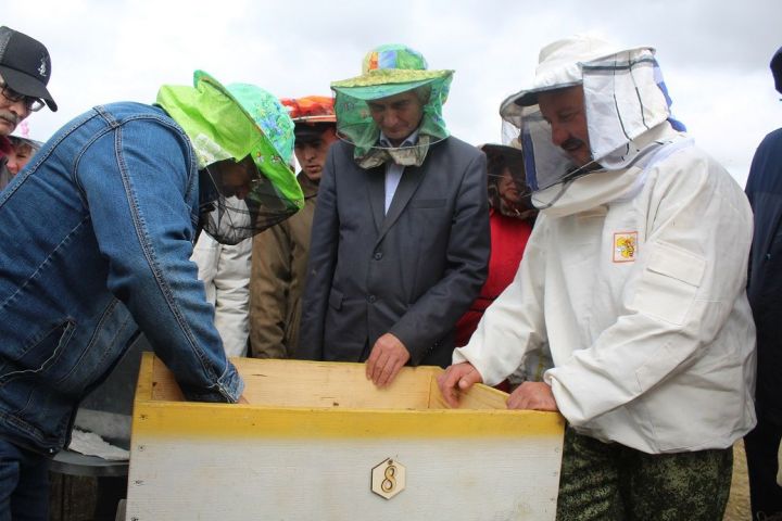 В Дрожжаном опытные пчеловоды обсудили  хорошо забытое старое средство борьбы с клещами варроа