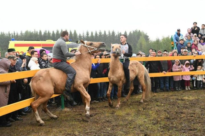 «День коня» в Арском районе РТ посетили Рустам Минниханов и Айсен Николаев