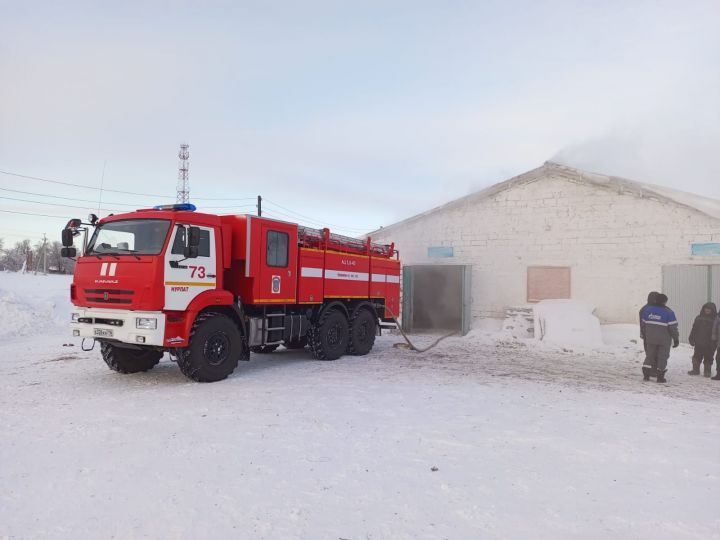 12 телят погибли при пожаре в Аккирееве