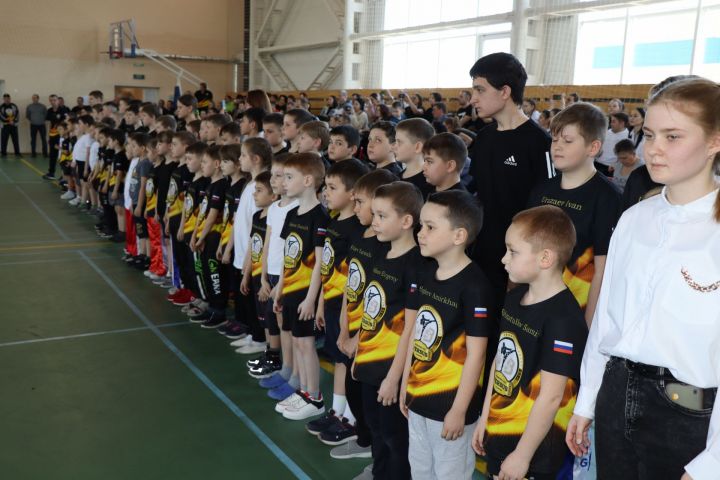 В Дрожжановском районе прошли соревнования юных кикбоксёров