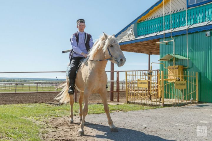Конный пробег до Алтая: Татарстан впервые проведет пробег на лошадях татарской породы