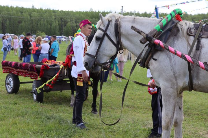 Татарский народный праздник «Сабантуй»: дрожжановцы очень ждут