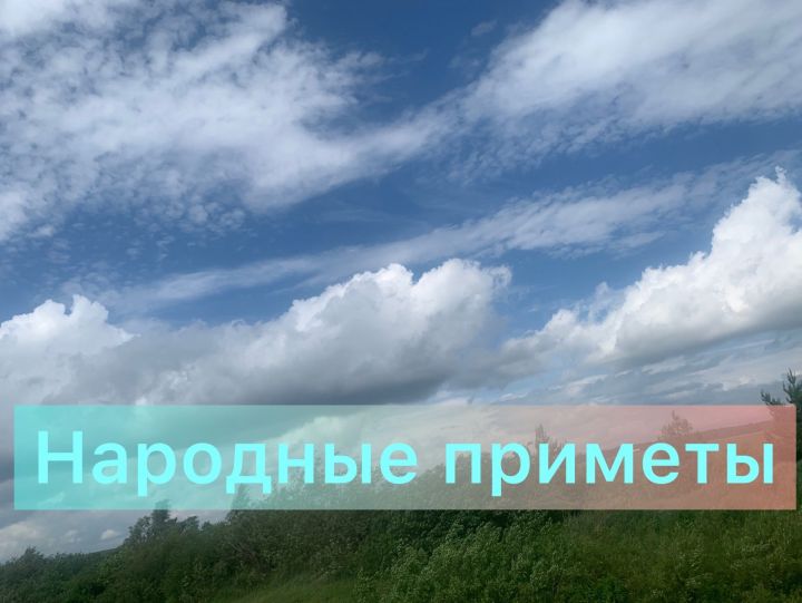 Какова погода до обеда: Народные приметы на сегодня