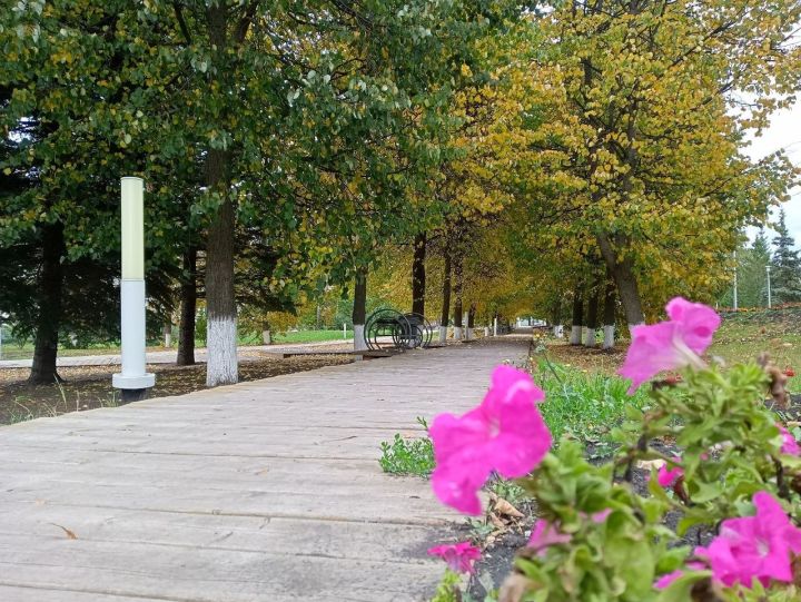 Октябрьтен пуҫласа ҫӗнӗ улшӑнусем кӗртеççӗ