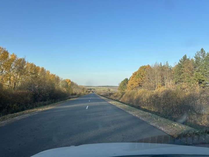 Погода в Дрожжановском районе