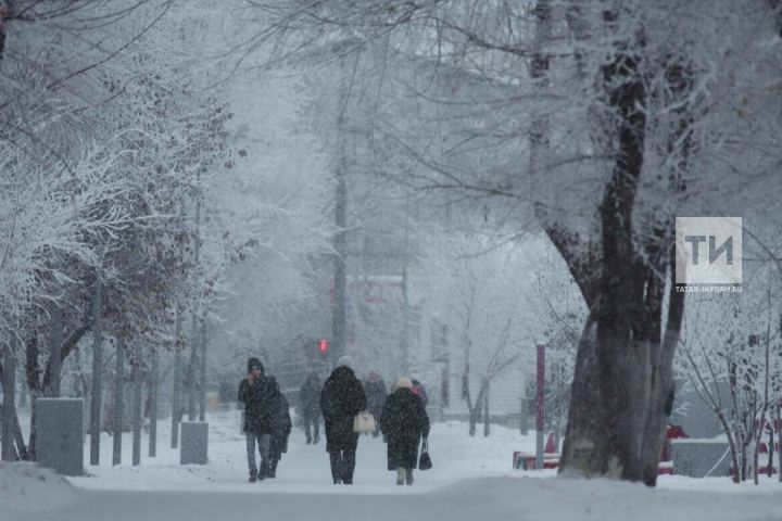Погода в Дрожжановском районе