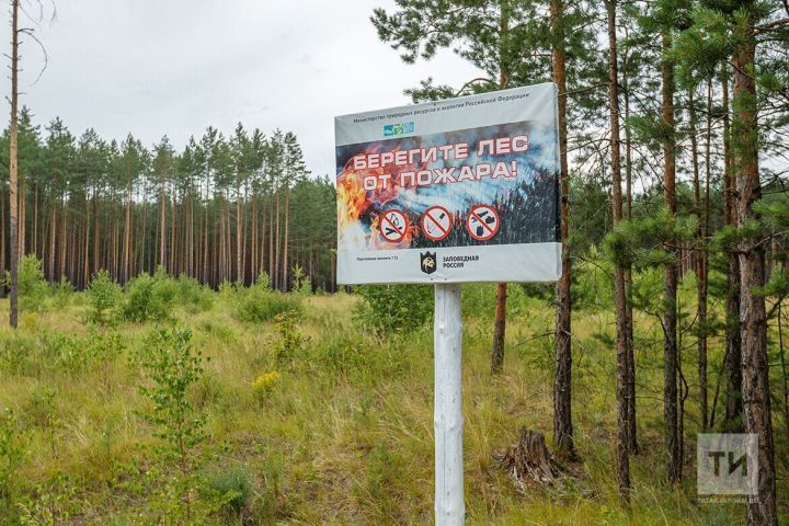 В Татарстане начался пожароопасный сезон