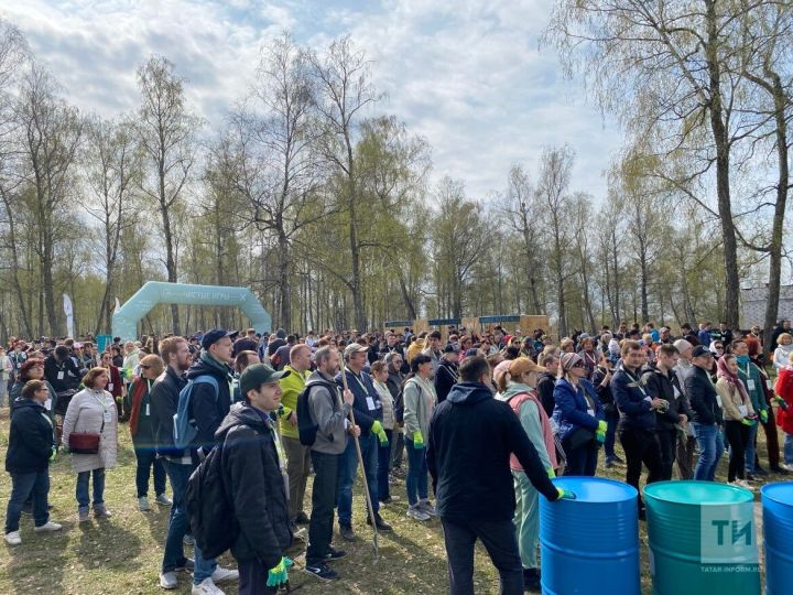 В казанском лесу с краснокнижными растениями проведут масштабный субботник