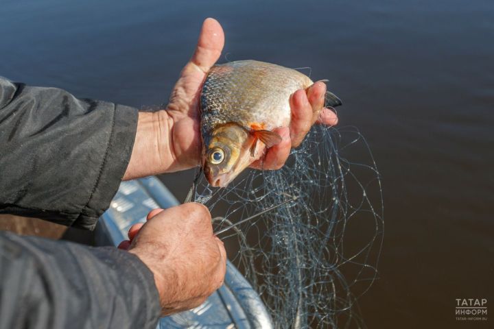 В Татарстане с 25 апреля вводится ограничение на ловлю рыбы