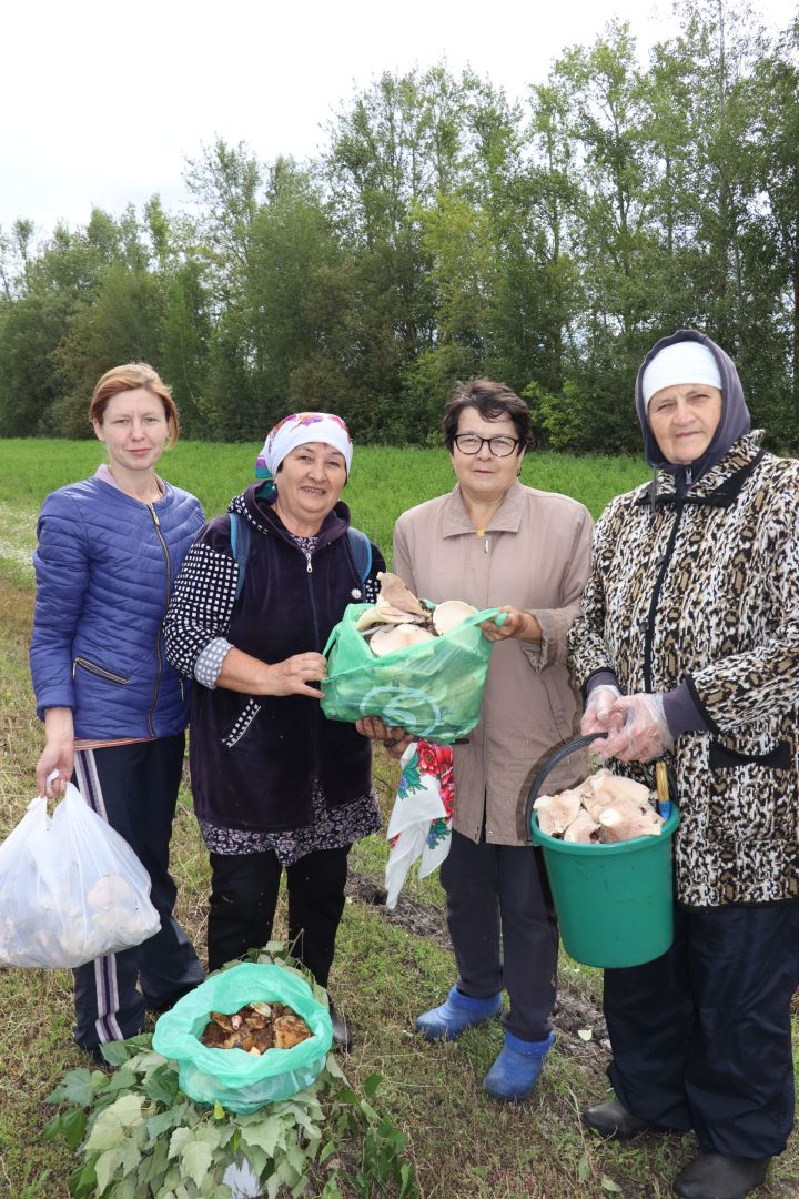 Кӑмпасен патшалӑхӗнче