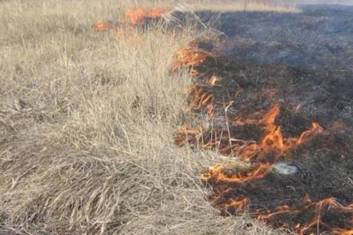 Сухой сентябрь – повод задуматься о безопасности