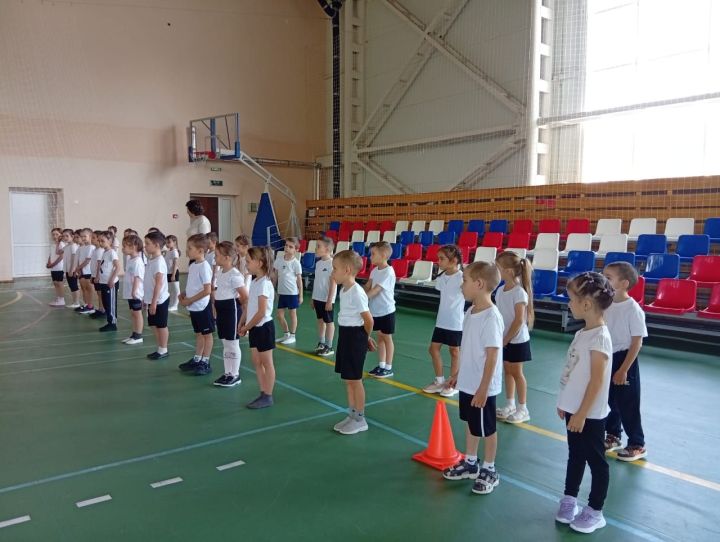 Воспитанники детского сада «Солнышко» Дрожжановского района РТ покоряют нормы ГТО