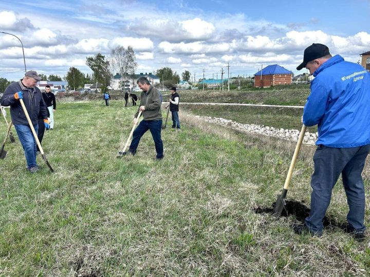 В Татарстане пройдет массовая посадка деревьев в рамках Всероссийской акции «Сохраним лес»