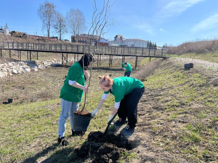 Студенты Дрожжановского района вдохнули жизнь в «Зелёное дыхание Республики»