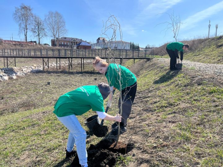 Студенты Дрожжановского района вдохнули жизнь в «Зелёное дыхание Республики»