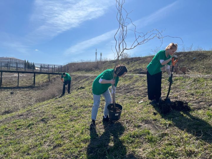 Студенты Дрожжановского района вдохнули жизнь в «Зелёное дыхание Республики»