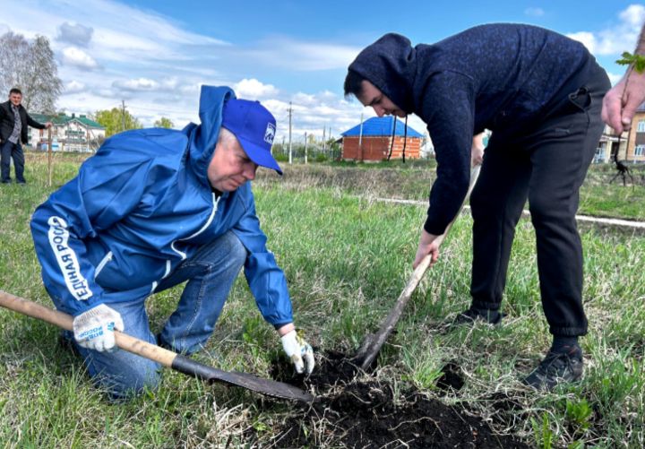 Чүпрәледә 80 еллыкка — 80 төп имән утырттылар