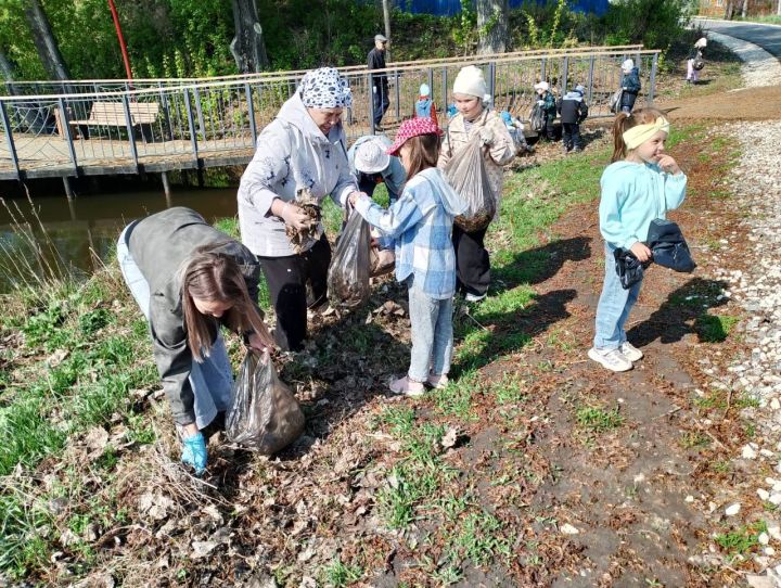«Зелёный флаг» в действии: в Дрожжановском районе РТ дети и ветераны вышли на очистку пруда