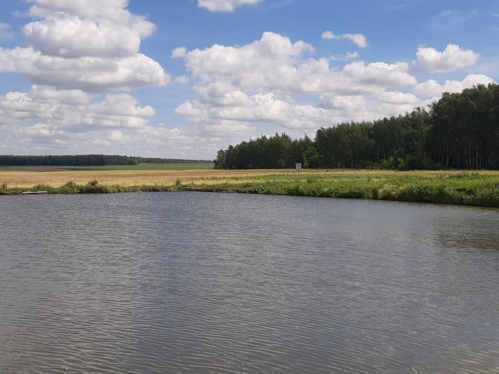 Не рискуйте жизнью! Штрафы и трагедии на воде – что нужно знать дрожжановцам