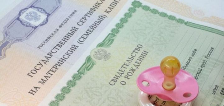 Татарстанлылар репетиторлар, балалар бакчалары һәм мәктәпләр хезмәтләре өчен ана капиталы акчалары белән түләгән
